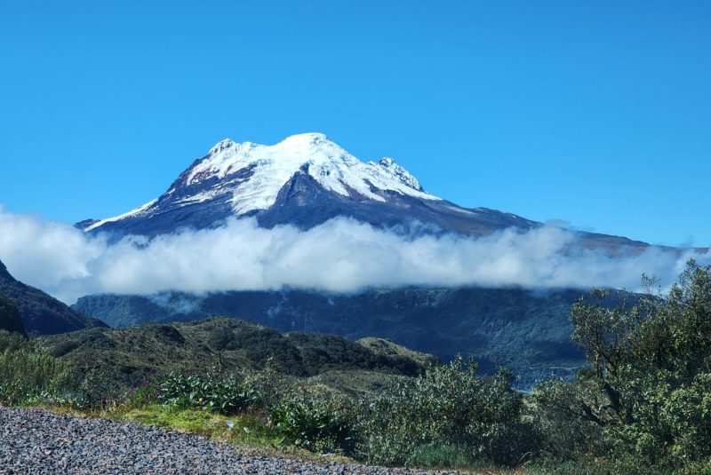 WhatsApp Image 2026-03-12 at 11.34.21 AM (1)