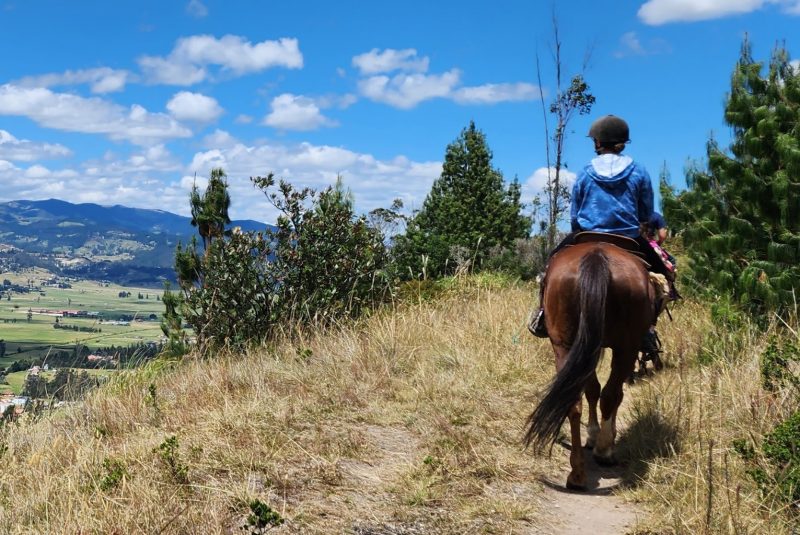 WhatsApp Image 2026-03-12 at 11.50.47 AM